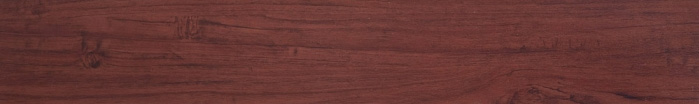 363010
